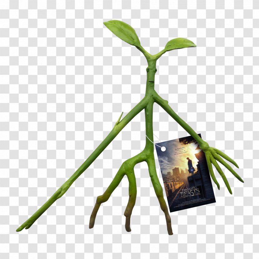 Fantastic Beasts And Where To Find Them Ghibli Museum Film Harry Potter The Order Of Phoenix - Plant - Tree Transparent PNG