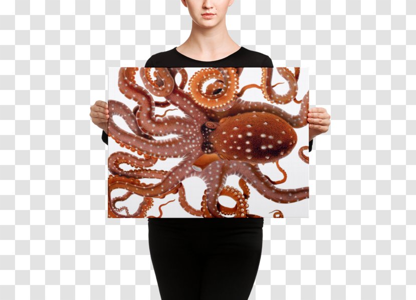Octopus Neck Blanket Mouse Mats - Giuseppe Jatta Transparent PNG