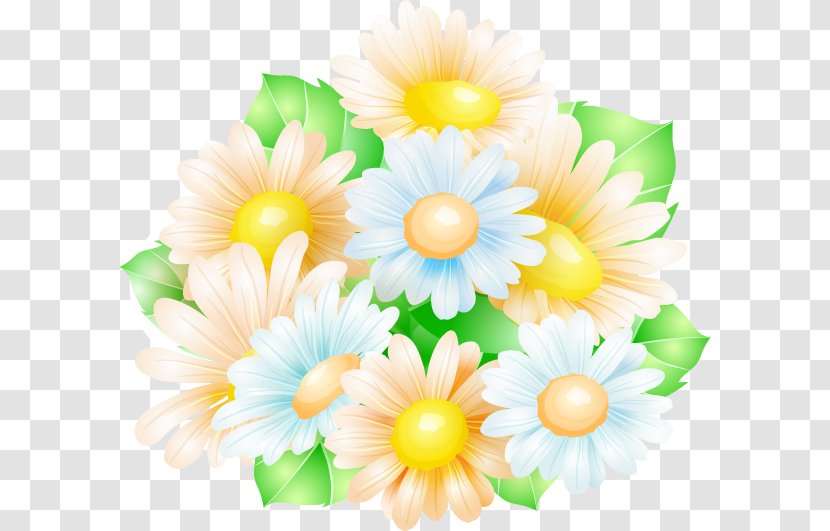 Drawing - Art - Daisy Transparent PNG