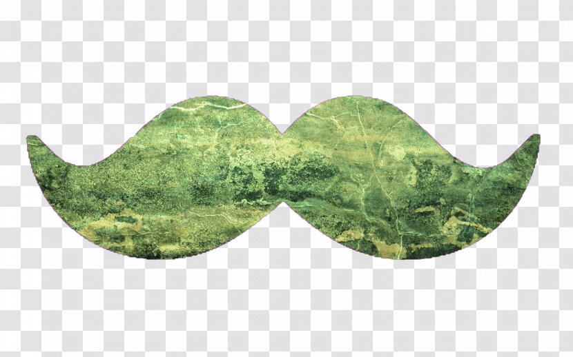 Moustache Atom December 13 Leaf - Wall Crack Transparent PNG