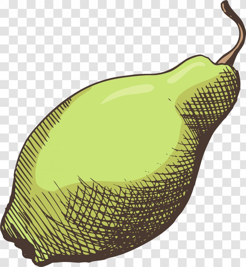 Pear Fruit Food - Auglis - Hand Painted Yellow Transparent PNG