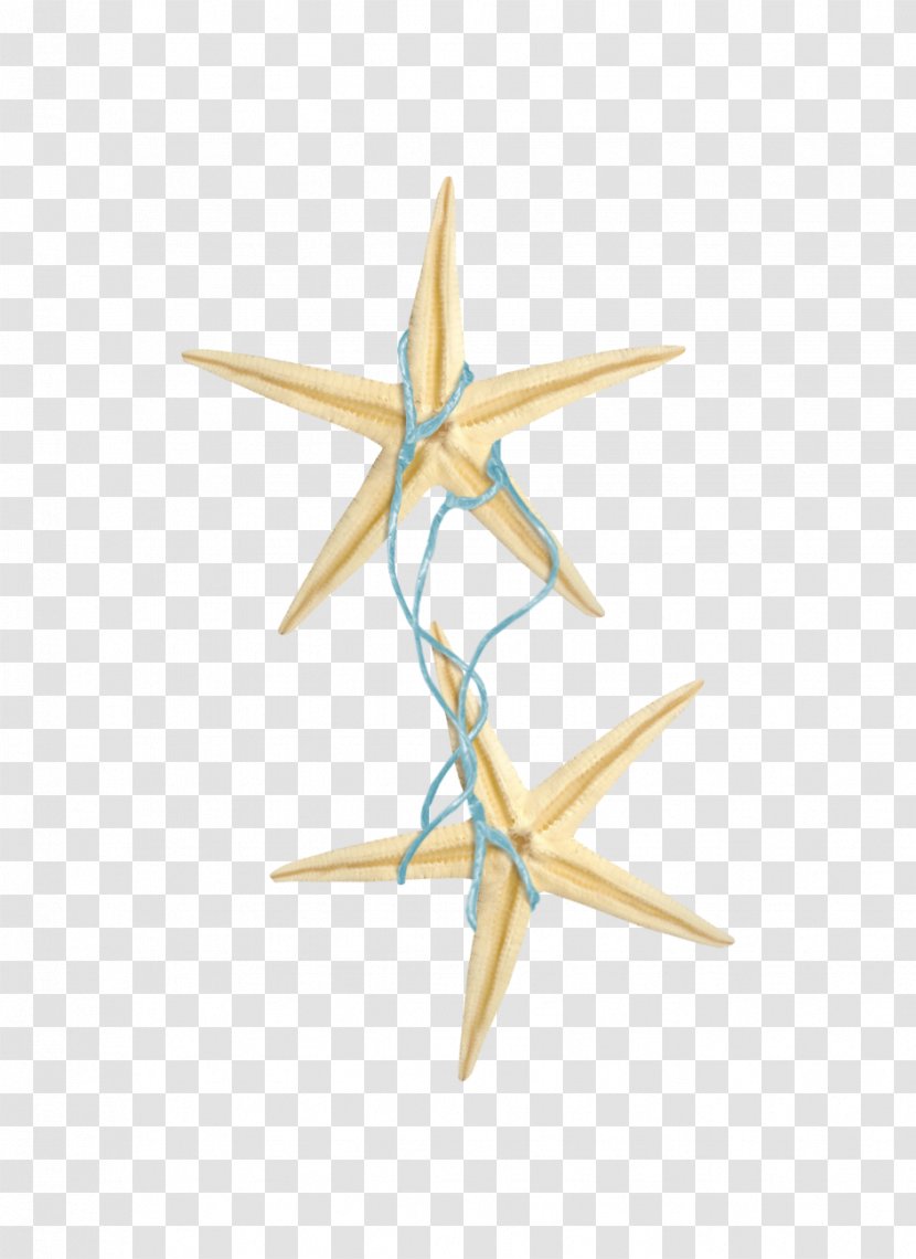 Starfish Rope Blue - Centerblog Transparent PNG
