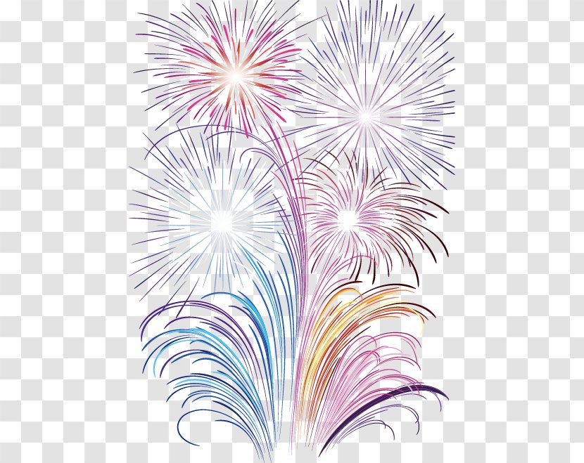 Fireworks Photography New Year - Artificier Transparent PNG