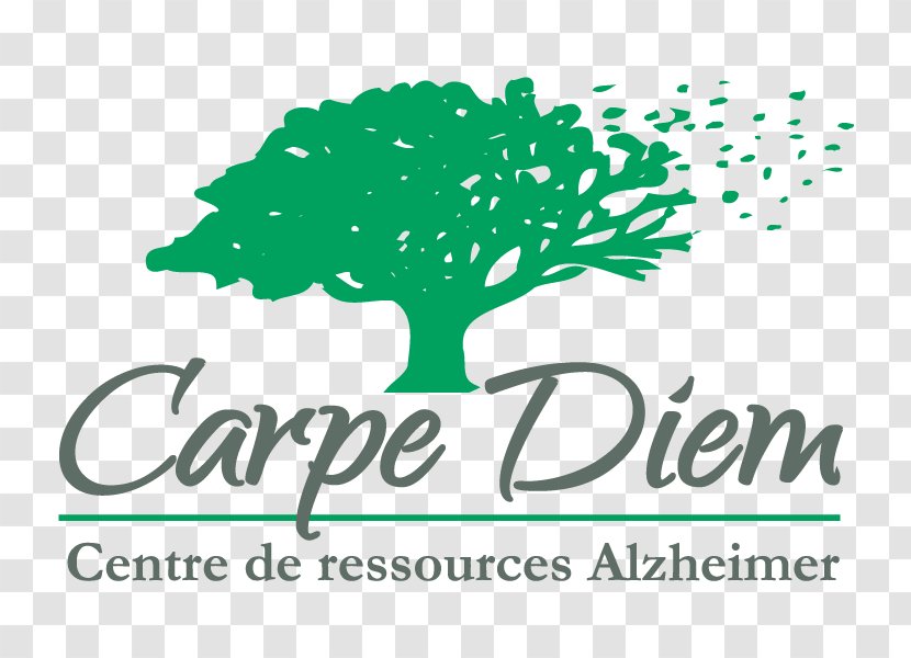 Carpe Diem - School - Centre De Ressources Alzheimer Maison German European SingaporeCarpe Transparent PNG