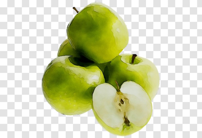 Granny Smith Apple Image Transparency - Flowering Plant Transparent PNG