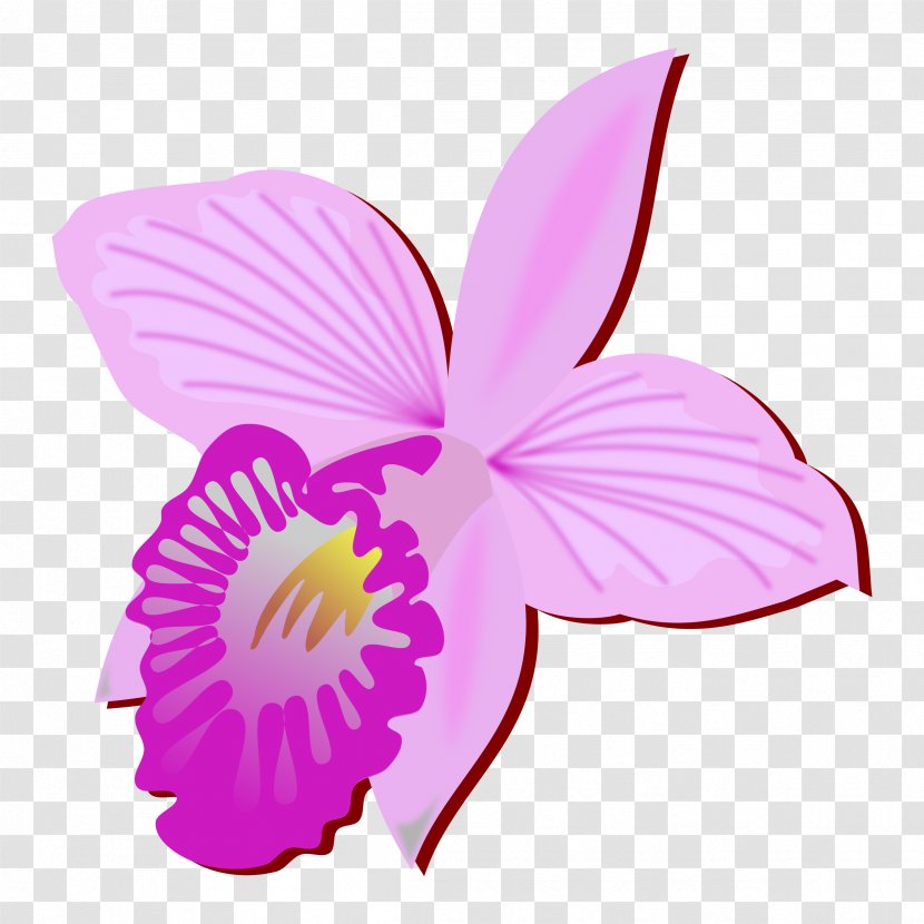 Orchids Arundina Clip Art - Orchid Transparent PNG