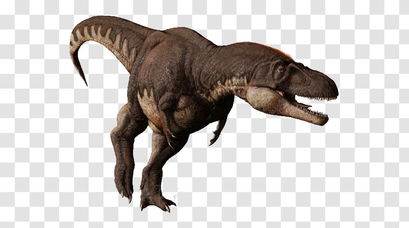 Tyrannosaurus Daspletosaurus Albertosaurus Tarbosaurus Pachyrhinosaurus - Terrestrial Animal - Dinosaur Transparent PNG