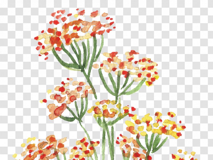 Floral Design Watercolour Flowers Watercolor Painting Transparent PNG