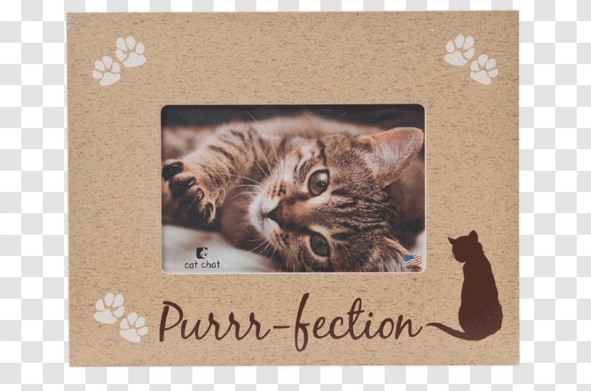 Whiskers Dog Cat Kitten Picture Frames Transparent PNG