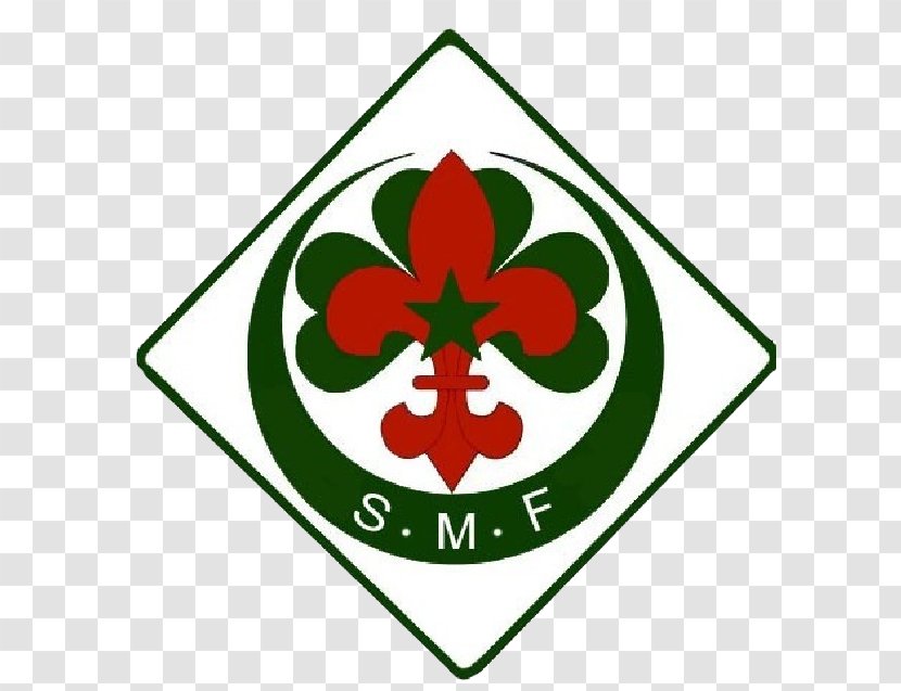 Muslim Scouts Of France Scouting Scoutisme Français Éclaireuses Et Éclaireurs De - Area Transparent PNG