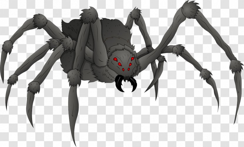 Spider Drawing - Black Widow Transparent PNG