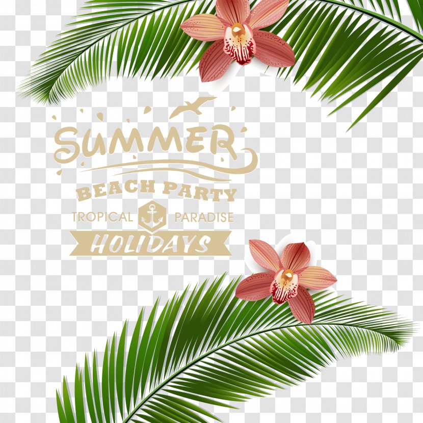 Beach Poster - Tree - Summer Resort Vector Material Posters Transparent PNG
