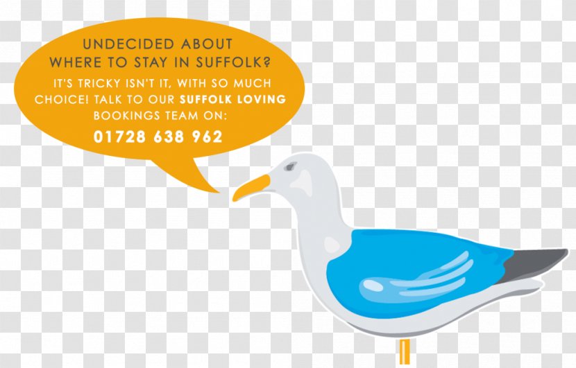 Beak Goose Brand Cygnini Duck - Suffolk Transparent PNG