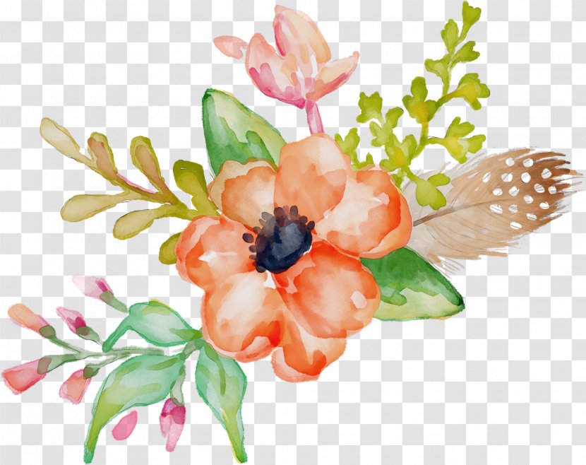 Watercolor Floral Background - Painting - Magnolia Wildflower Transparent PNG