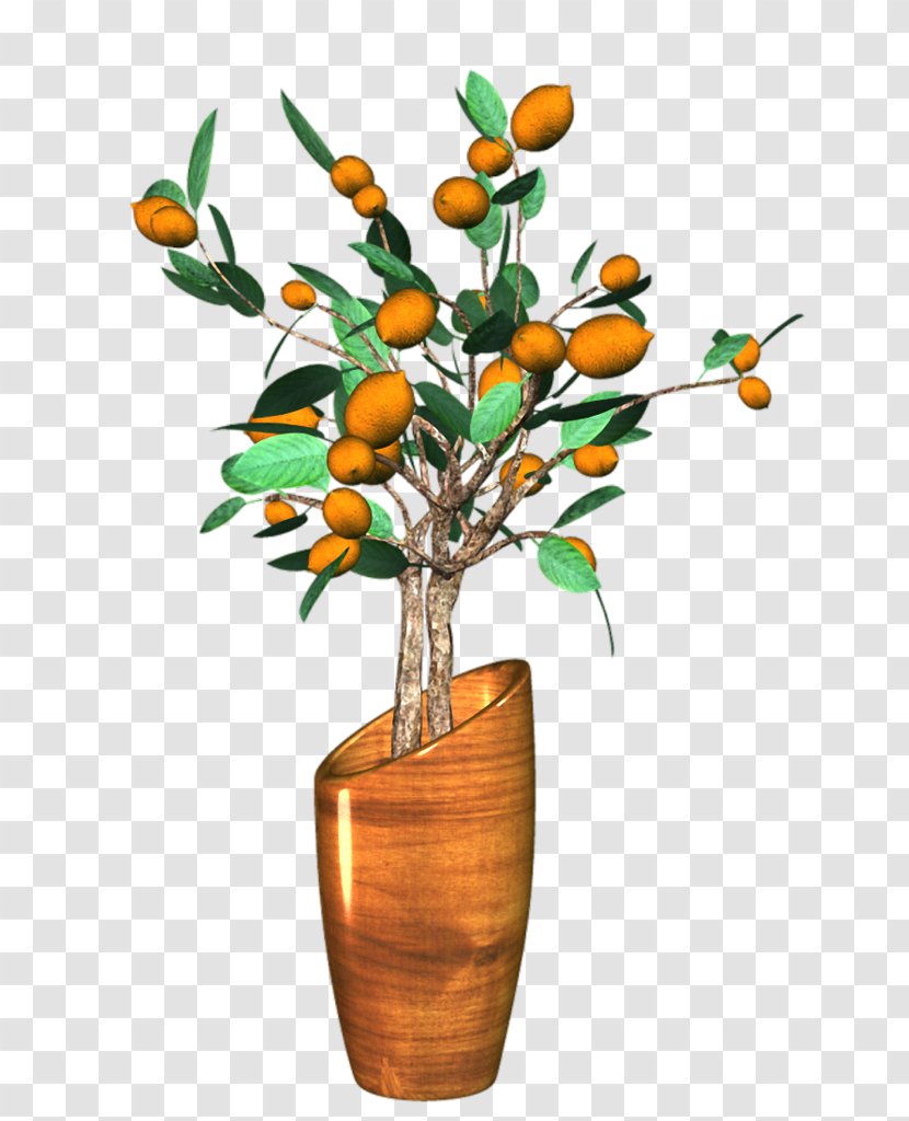 Flowerpot Branch Ornamental Plant Bonsai Vase Transparent PNG