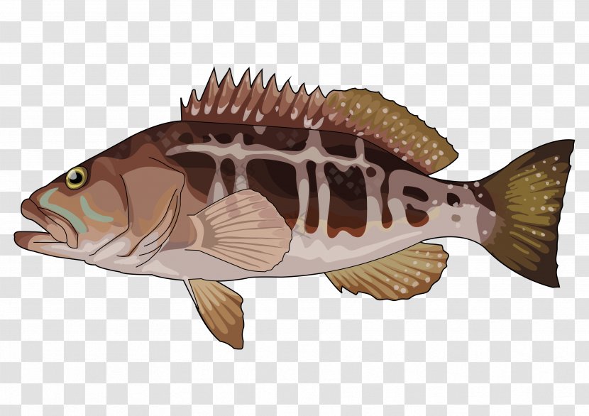 Tilapia Educational Technology Information And Communications - Education Transparent PNG