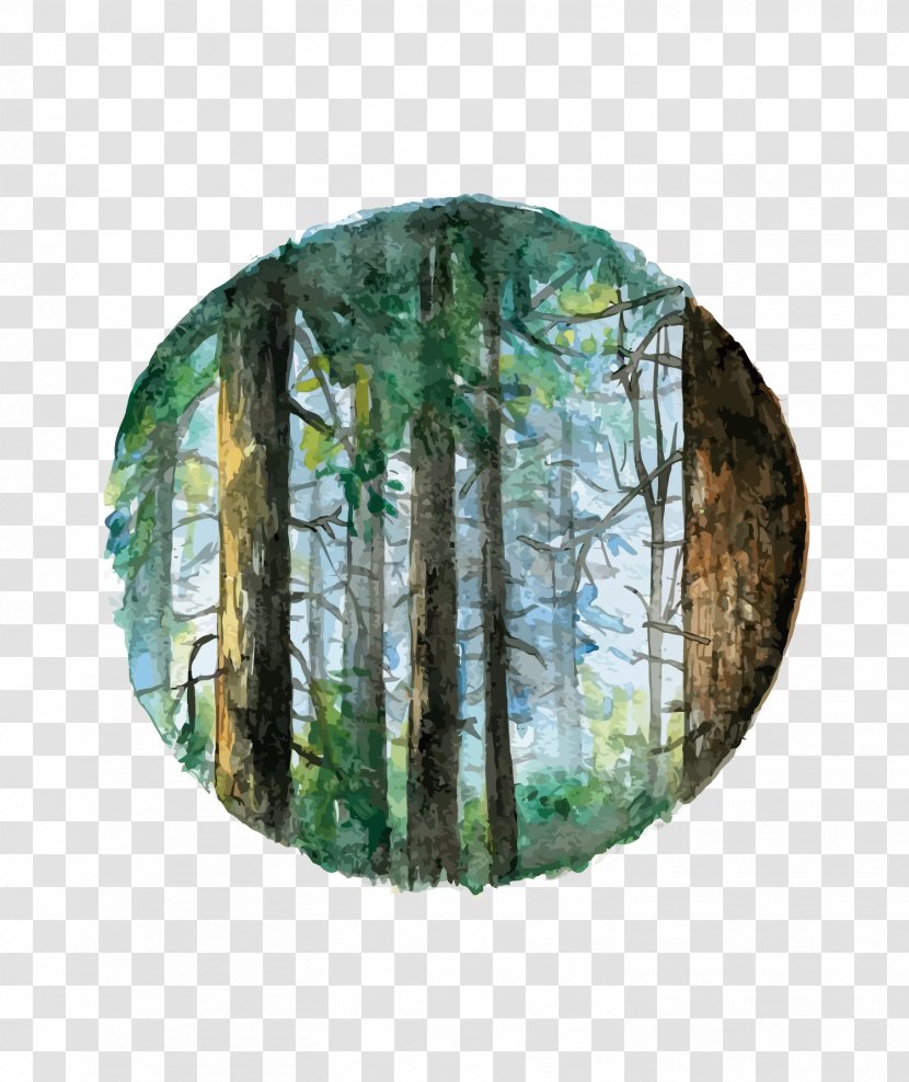 Watercolor Painting - Cartoon - Vector Forest Transparent PNG