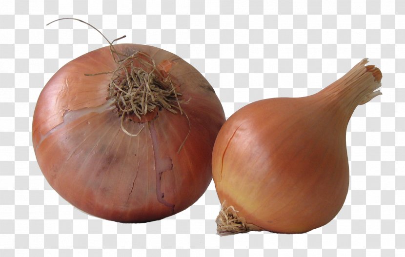 Yellow Onion Shallot Health Caramelization Bulb - Cuisine Transparent PNG