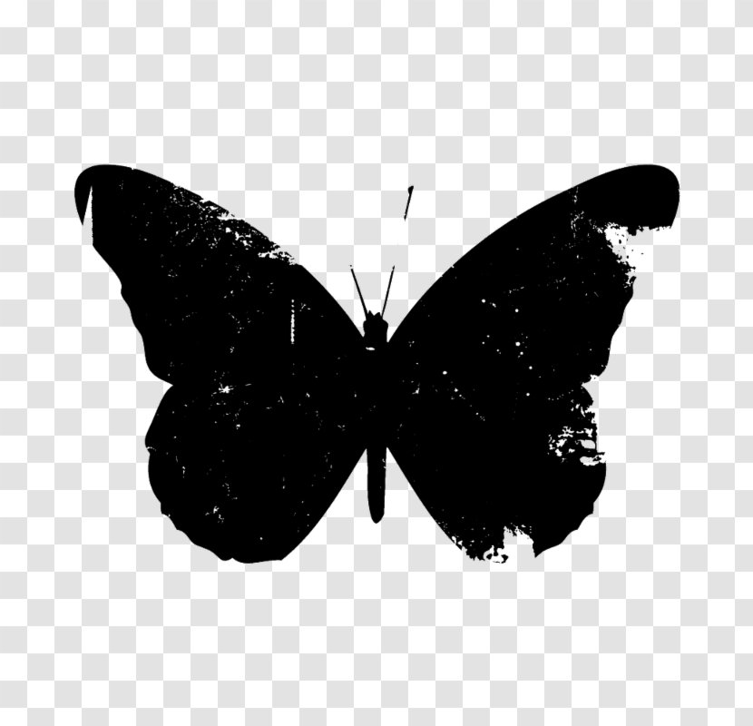 Butterfly Royalty-free Clip Art - Royaltyfree Transparent PNG