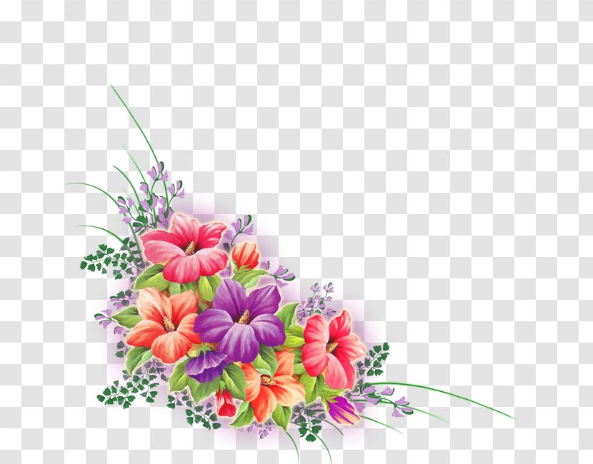 Flower Clip Art - Flora - Gerbera Transparent PNG