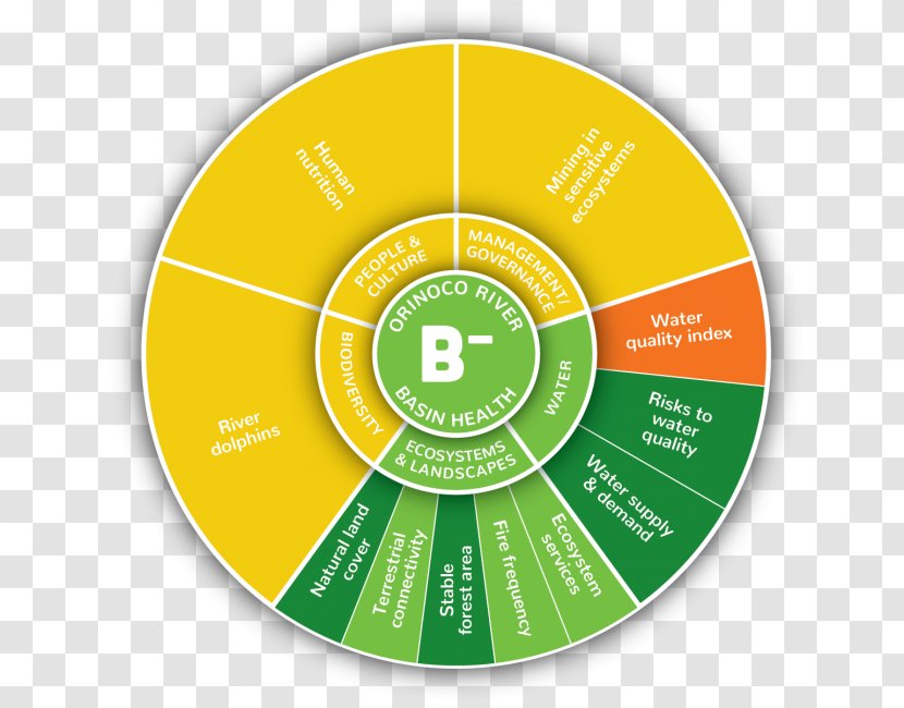 Brand Circle Font - Green - Good Health Transparent PNG