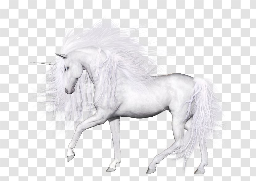 Unicorn Horse Clip Art - Mythical Creature Transparent PNG
