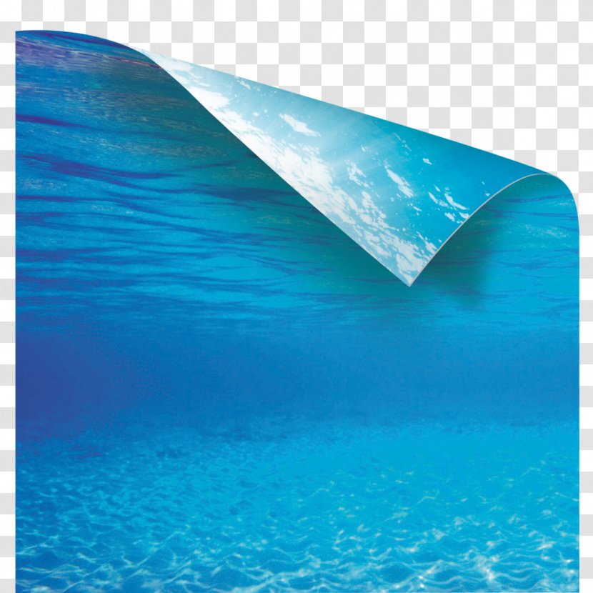 Aquarium Billboard Poster Wall Fishkeeping - It Transparent PNG
