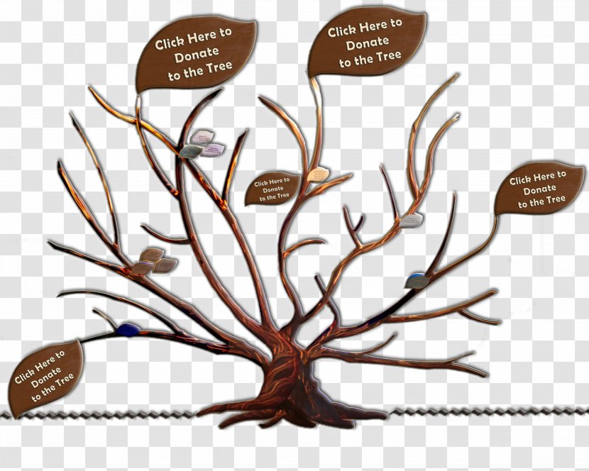 Branch Family Tree Adoption Root - Information Transparent PNG