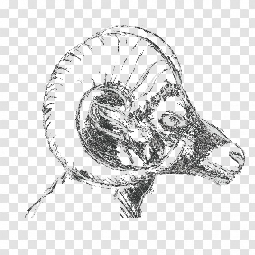 Sheep Goat Black And White Drawing Sketch - Flower Transparent PNG