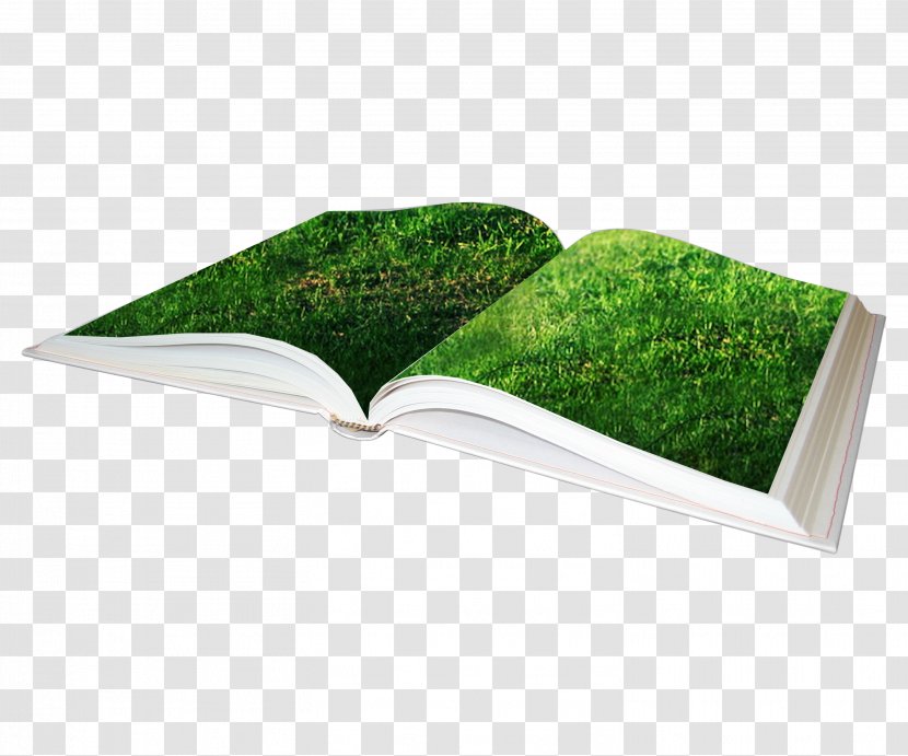 Clip Art - Grass - Green Creative Books Transparent PNG