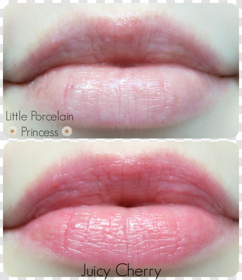 Lip Gloss Balm Stain Tony Moly Petite Bunny Bar - Lipstick Transparent PNG