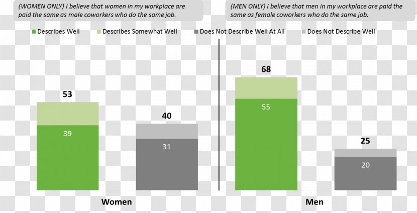 Equal Pay For Work Gender Woman United States Act Of 1963 - Opinion Poll Transparent PNG