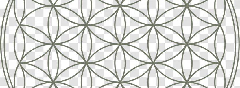 Overlapping Circles Grid Sacred Geometry Golden Ratio Flower Shine - Plant - Power Of Yoga Transparent PNG