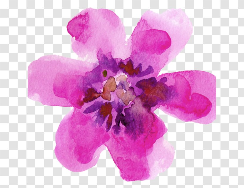 Watercolour Flowers Watercolor Painting Paper Watercolor: Transparent PNG