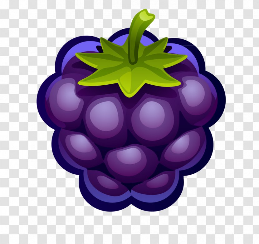 Blueberry Fruit Clip Art - Huckleberry - Raspberry Transparent PNG