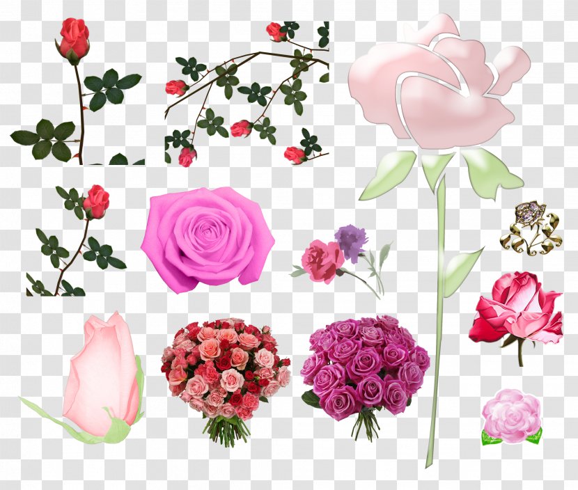 Garden Roses Pink Centifolia Cut Flowers - Flower Bouquet Transparent PNG