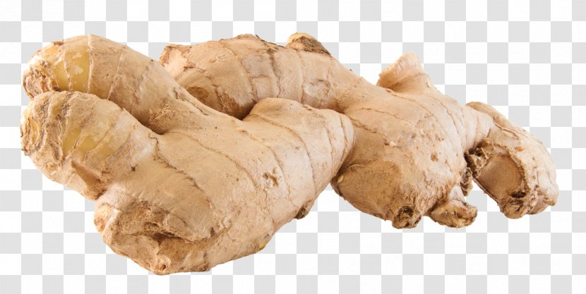 Gingerol Ginataan Extract - Rhizome - Ginger Transparent PNG