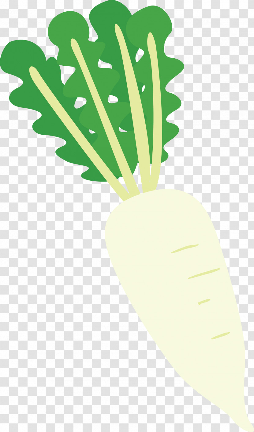 Radish Transparent PNG