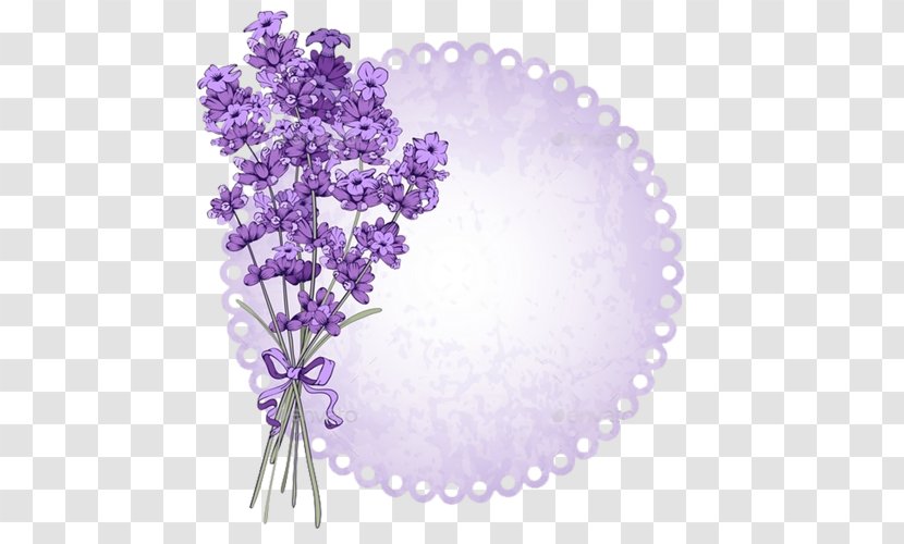 Lavender Clip Art Vector Graphics Flower Illustration - Purple - Lawenda Transparent PNG