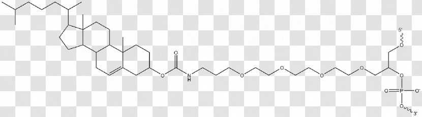 Common Fig White Point Line Art - Area - Dna Core Transparent PNG