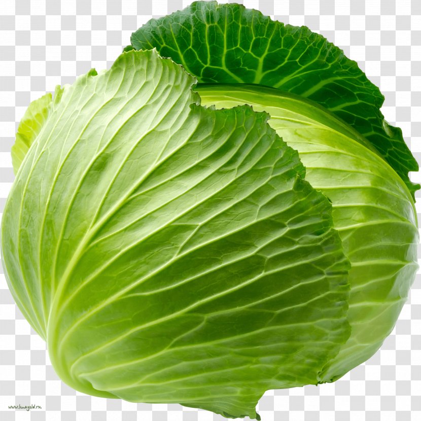 Cabbage Organic Food Vegetable Coleslaw Fruit - Side Dish - Image Transparent PNG