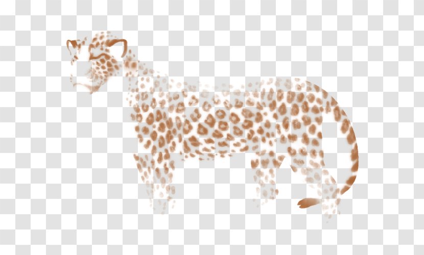 Leopard Cheetah Giraffe Felidae Lion Transparent PNG