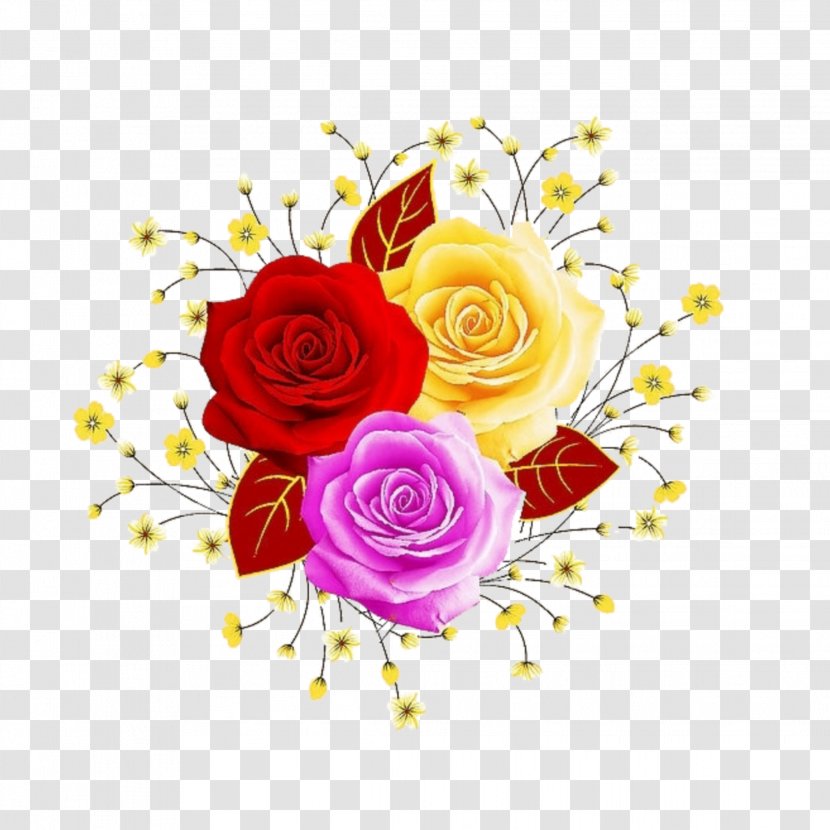 Garden Roses Beach Rose Flower Floral Design Illustration - Magenta Transparent PNG