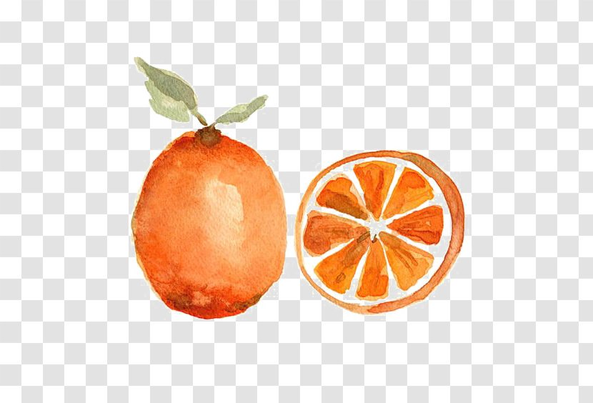 Watercolor Painting Orange Fruit Still Life - Diet Food Transparent PNG