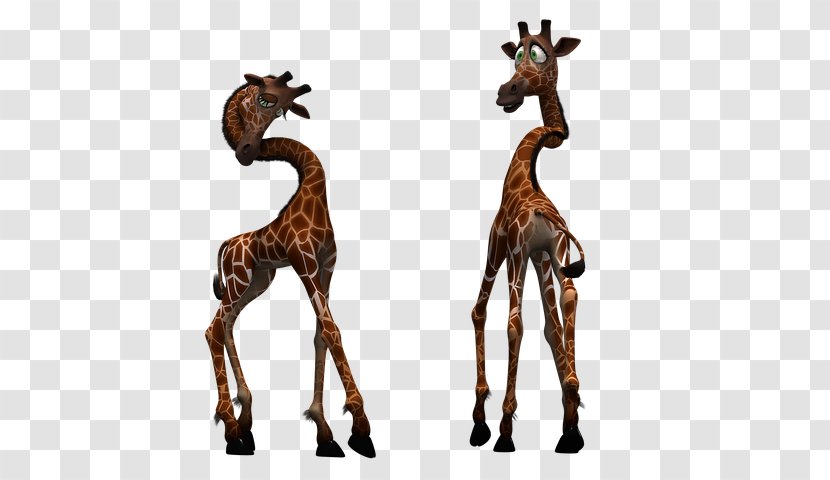 Baby Giraffe Clip Art Mammal Northern Reticulated - Ruminant - Cartoon Images Transparent PNG