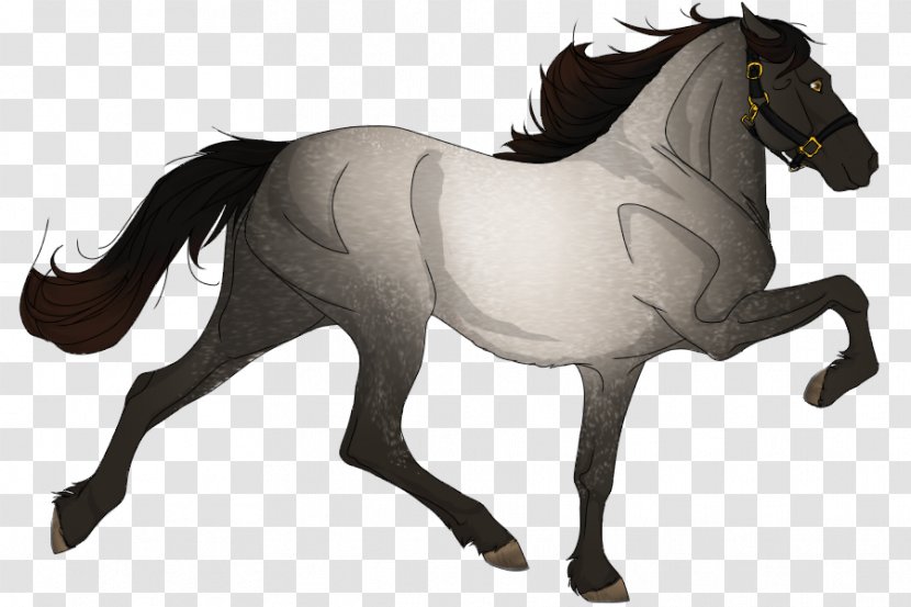 Appaloosa Pony Mustang Mane Bay - Pack Animal - Stand Against Bullying 2014 Transparent PNG