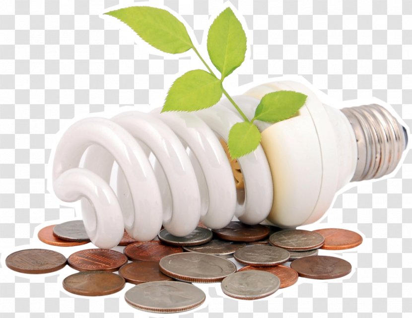 Energy Conservation Efficiency Renewable Electricity - Saving Light Bulbs Transparent PNG