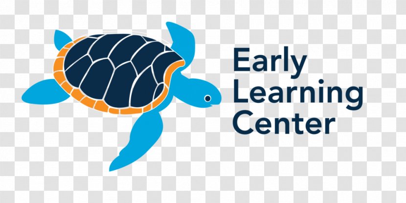 Logo Top Shelf: Essential Learning For The Internal Medicine Clerkship Brand Sea Turtle - Organism Transparent PNG