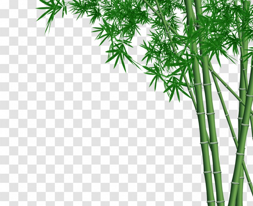 Bamboo Wall Four Gentlemen Bambusa Oldhamii - Brush Pot - Green Transparent PNG