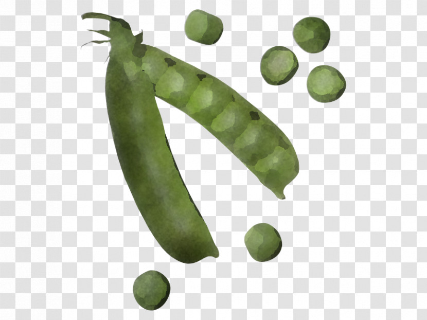 Legume Pea Snap Pea Snow Peas Plant Transparent PNG